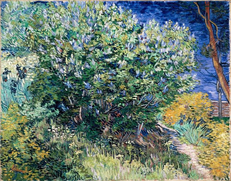 Liliac Bush   Vincent Van Gogh