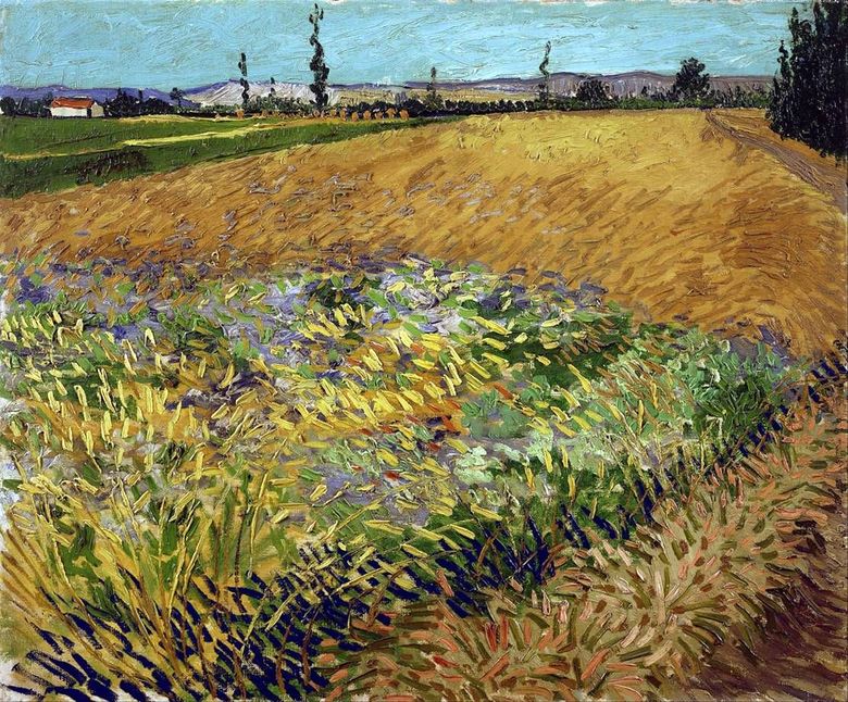 Câmpul de grâu și poalele Vechilor Alpi pe fundal   Vincent van Gogh
